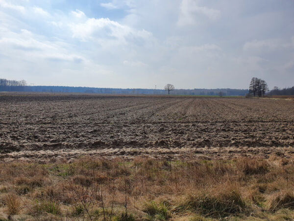 nieruchomosc-na-sprzedaz-budziwojowice-15.jpeg nieruchomosc-na-sprzedaz-budziwojowice-15.jpeg