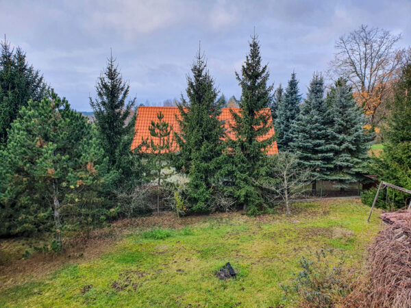 nieruchomosc-na-sprzedaz-mrozow-cmentarna-56.jpeg nieruchomosc-na-sprzedaz-mrozow-cmentarna-56.jpeg