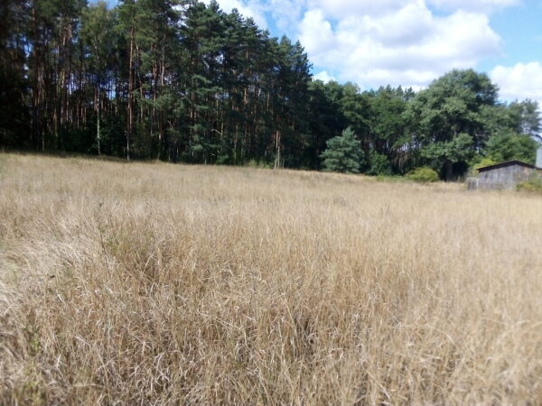 nieruchomosc-na-sprzedaz-wystok-203.jpeg nieruchomosc-na-sprzedaz-wystok-203.jpeg