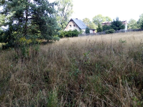 nieruchomosc-na-sprzedaz-wystok-204.jpeg nieruchomosc-na-sprzedaz-wystok-204.jpeg