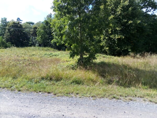 nieruchomosc-na-sprzedaz-lubow-92.jpeg nieruchomosc-na-sprzedaz-lubow-92.jpeg