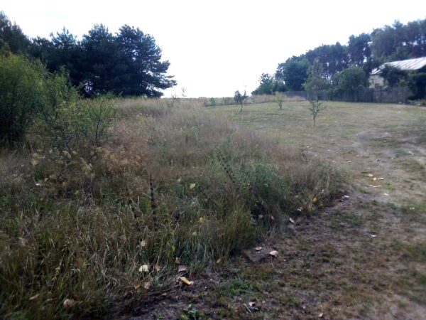 nieruchomosc-na-sprzedaz-wystok-213.jpeg nieruchomosc-na-sprzedaz-wystok-213.jpeg