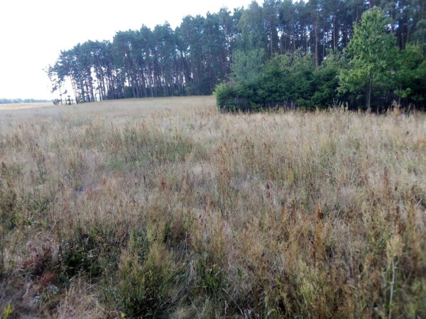 nieruchomosc-na-sprzedaz-wystok-214.jpeg nieruchomosc-na-sprzedaz-wystok-214.jpeg