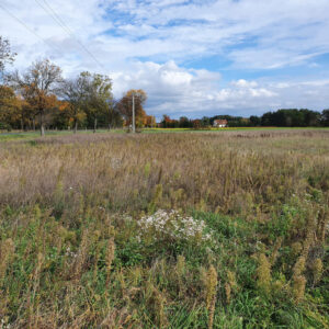Na sprzedaż Wilków Jarzębinowa