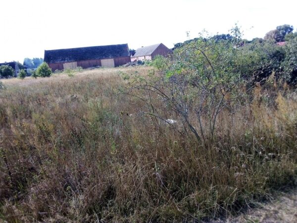 nieruchomosc-na-sprzedaz-wystok-195.jpeg nieruchomosc-na-sprzedaz-wystok-195.jpeg