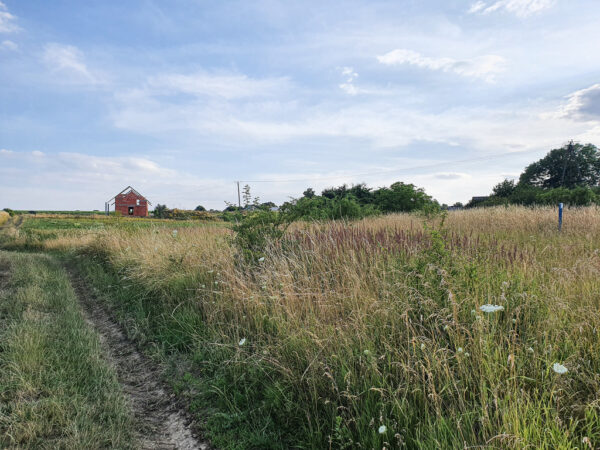 nieruchomosc-na-sprzedaz-winsko-parkowa-183.jpeg nieruchomosc-na-sprzedaz-winsko-parkowa-183.jpeg