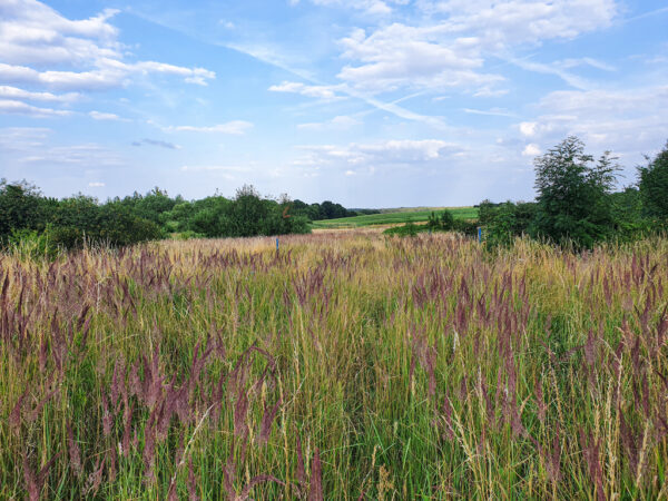 nieruchomosc-na-sprzedaz-winsko-parkowa-191.jpeg nieruchomosc-na-sprzedaz-winsko-parkowa-191.jpeg