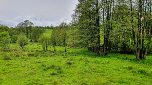 nieruchomosc-na-sprzedaz-lesica-132.jpeg nieruchomosc-na-sprzedaz-lesica-132.jpeg