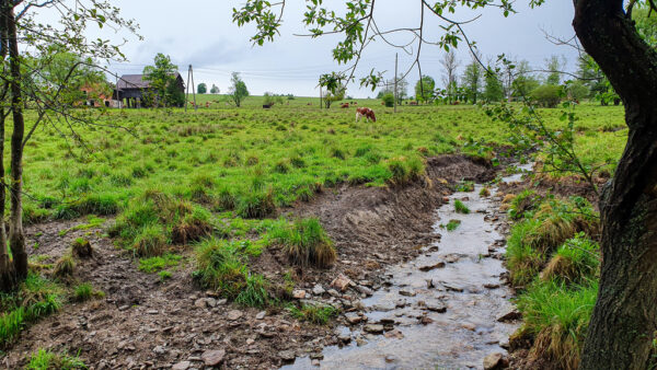 nieruchomosc-na-sprzedaz-lesica-135.jpeg nieruchomosc-na-sprzedaz-lesica-135.jpeg