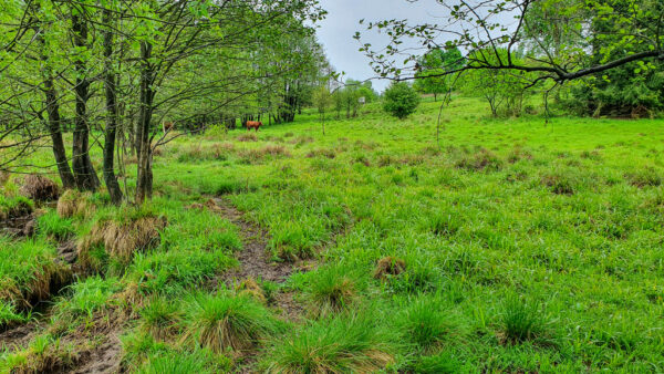 nieruchomosc-na-sprzedaz-lesica-136.jpeg nieruchomosc-na-sprzedaz-lesica-136.jpeg