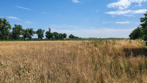 nieruchomosc-na-sprzedaz-lagiewniki-sowia-99.jpeg nieruchomosc-na-sprzedaz-lagiewniki-sowia-99.jpeg