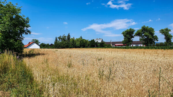 nieruchomosc-na-sprzedaz-lagiewniki-sowia-101.jpeg nieruchomosc-na-sprzedaz-lagiewniki-sowia-101.jpeg