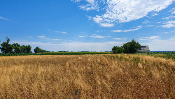 nieruchomosc-na-sprzedaz-lagiewniki-sowia-102.jpeg nieruchomosc-na-sprzedaz-lagiewniki-sowia-102.jpeg