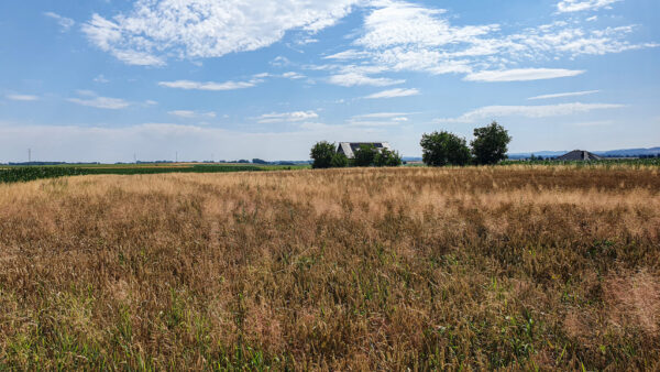 nieruchomosc-na-sprzedaz-lagiewniki-sowia-103.jpeg nieruchomosc-na-sprzedaz-lagiewniki-sowia-103.jpeg