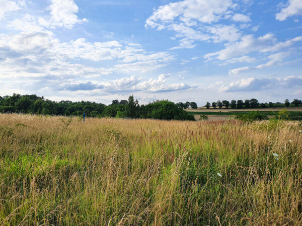 nieruchomosc-na-sprzedaz-winsko-parkowa-439.jpeg nieruchomosc-na-sprzedaz-winsko-parkowa-439.jpeg