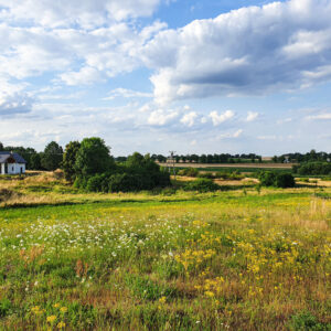 Na sprzedaż Wińsko Parkowa