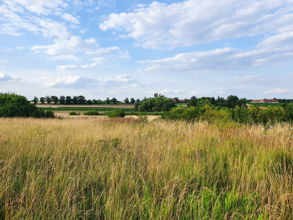 nieruchomosc-na-sprzedaz-winsko-parkowa-703.jpeg nieruchomosc-na-sprzedaz-winsko-parkowa-703.jpeg