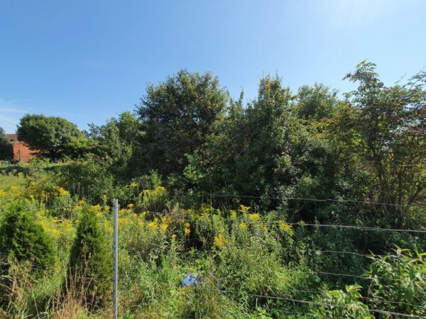 nieruchomosc-na-sprzedaz-mokry-dwor-stefana-batorego-11.jpeg nieruchomosc-na-sprzedaz-mokry-dwor-stefana-batorego-11.jpeg