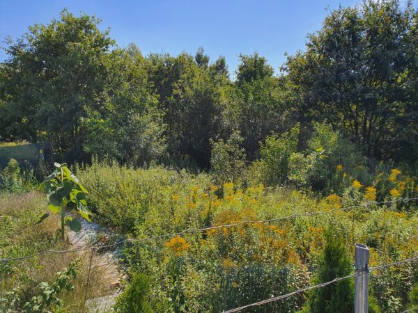 nieruchomosc-na-sprzedaz-mokry-dwor-stefana-batorego-12.jpeg nieruchomosc-na-sprzedaz-mokry-dwor-stefana-batorego-12.jpeg