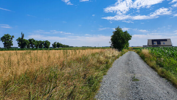 nieruchomosc-na-sprzedaz-lagiewniki-sowia-328.jpeg nieruchomosc-na-sprzedaz-lagiewniki-sowia-328.jpeg