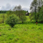 nieruchomosc-na-sprzedaz-miedzylesie-247.jpeg