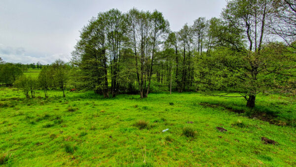 nieruchomosc-na-sprzedaz-lesica-75.jpeg nieruchomosc-na-sprzedaz-lesica-75.jpeg