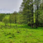 nieruchomosc-na-sprzedaz-lesica-76.jpeg