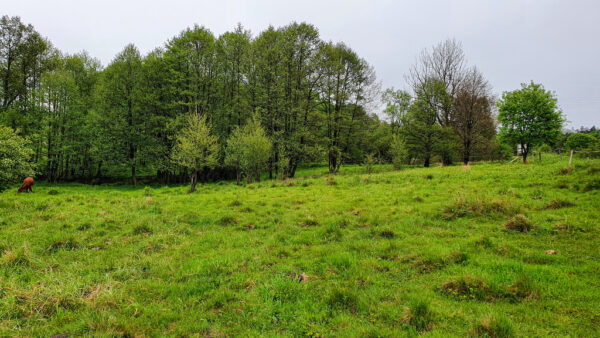 nieruchomosc-na-sprzedaz-lesica-78.jpeg nieruchomosc-na-sprzedaz-lesica-78.jpeg