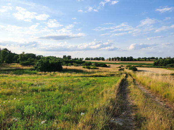 nieruchomosc-na-sprzedaz-winsko-parkowa-309.jpeg nieruchomosc-na-sprzedaz-winsko-parkowa-309.jpeg