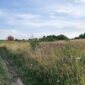 nieruchomosc-na-sprzedaz-winsko-parkowa-311.jpeg